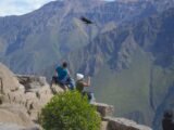 Colca Full Day