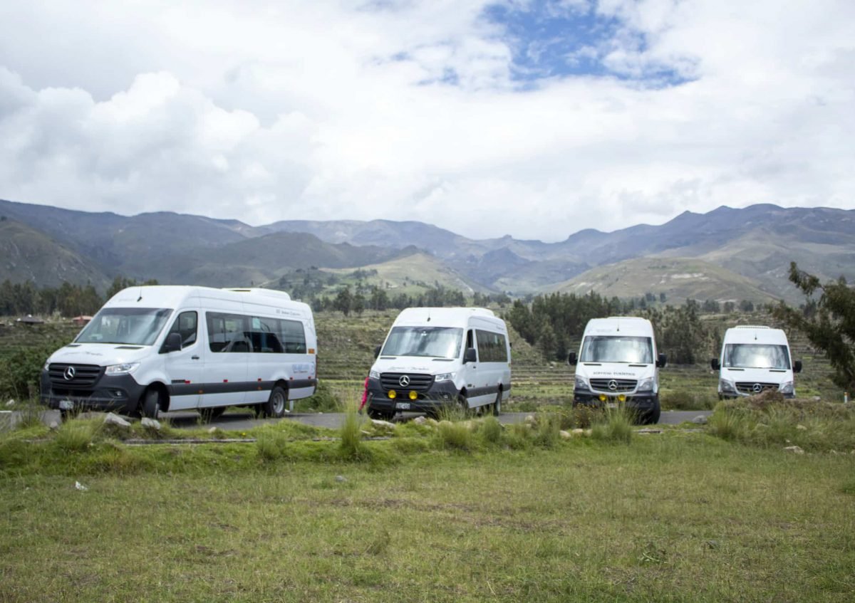 colca arequipa tour peru peru baby lama (112)