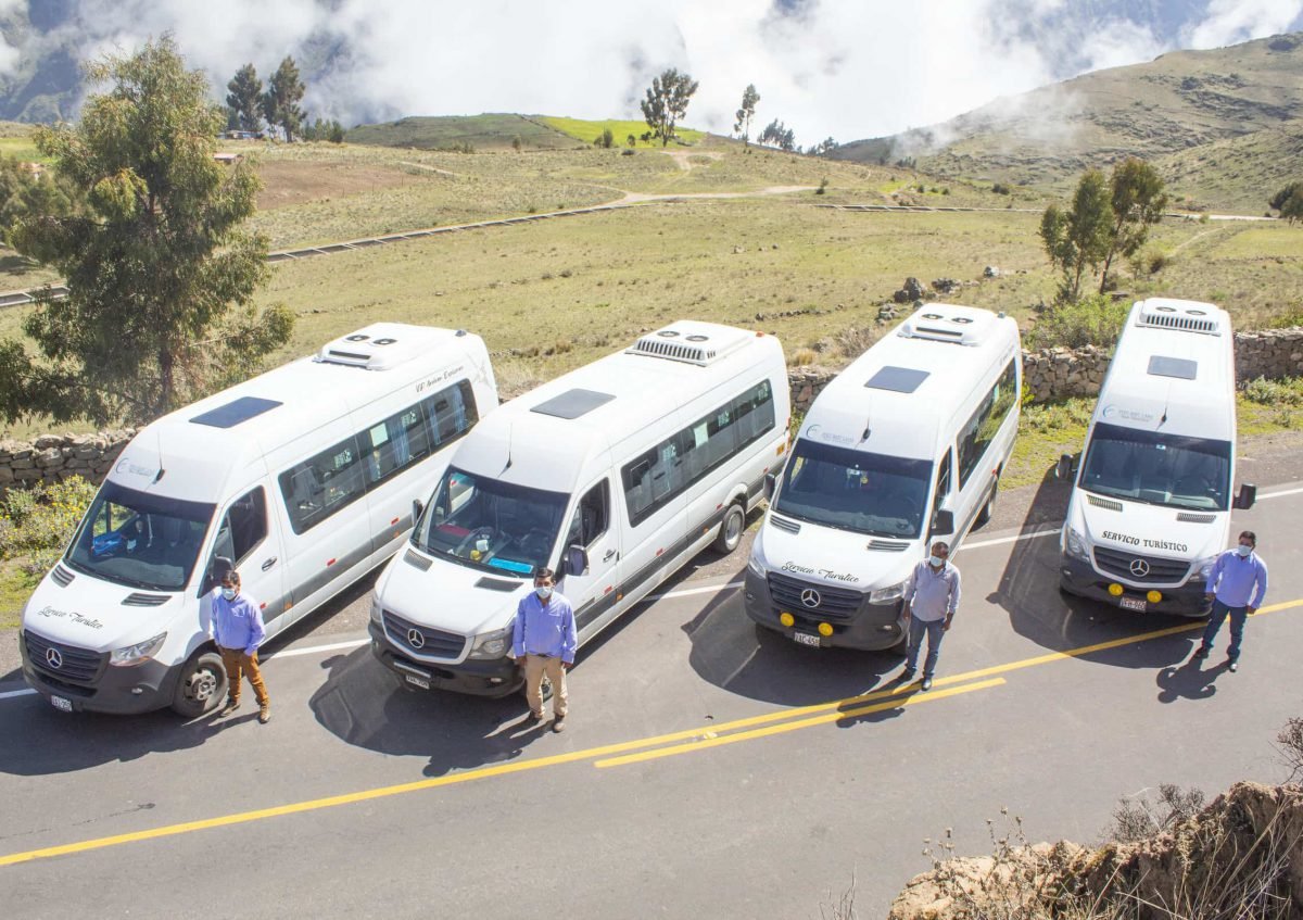 colca arequipa tour peru peru baby lama (123)
