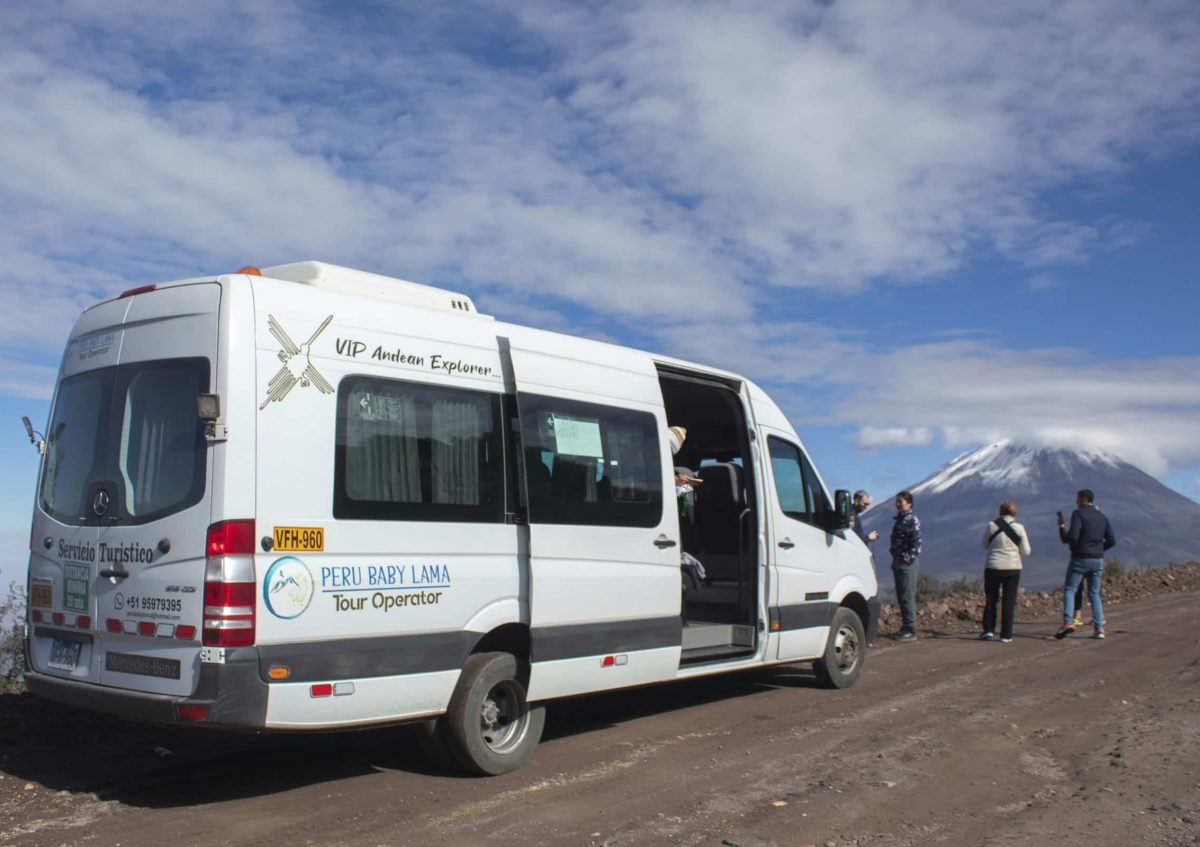 colca arequipa tour peru peru baby lama (148)