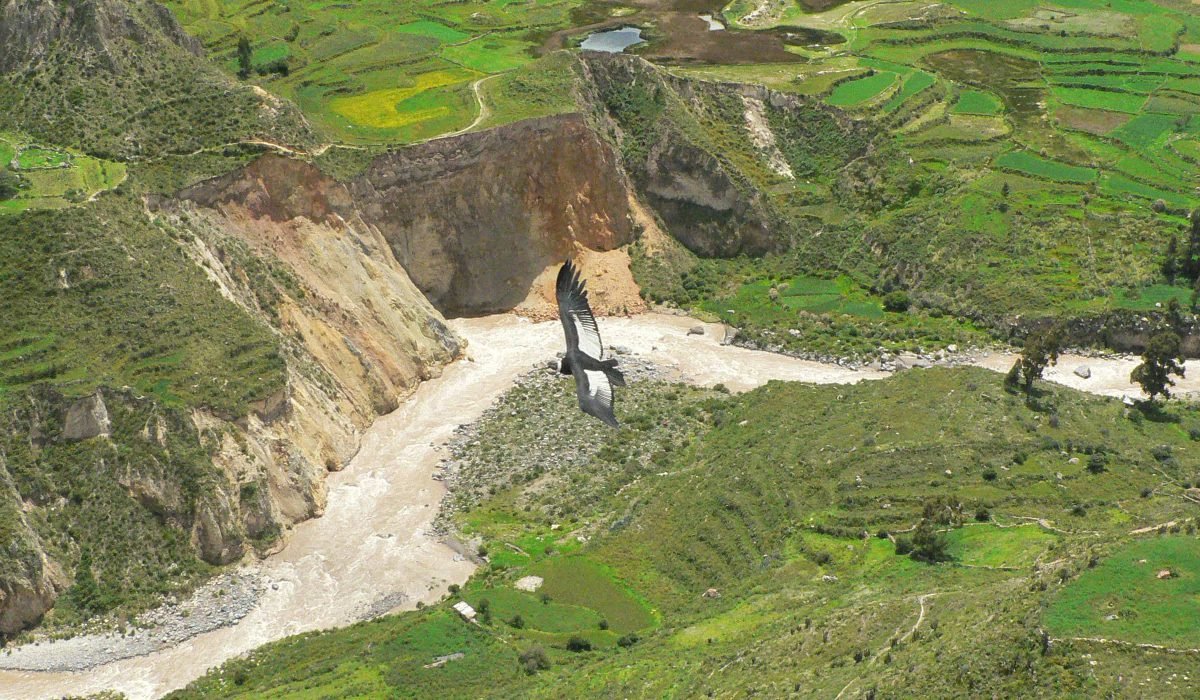 Uyo Uyo Ruins in Colca