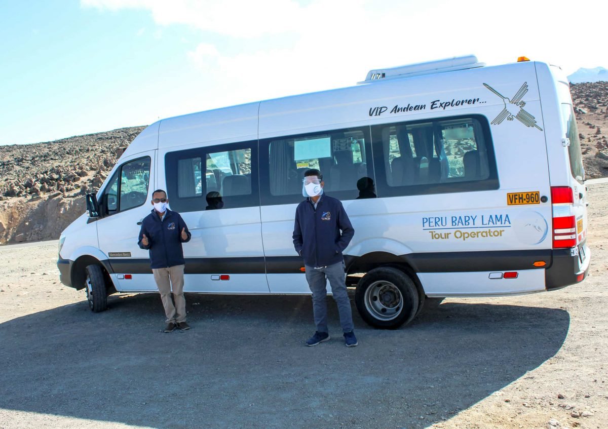 colca arequipa tour peru peru baby lama (155)
