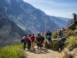 Homestay Yanque + Colca Trek 3 Days