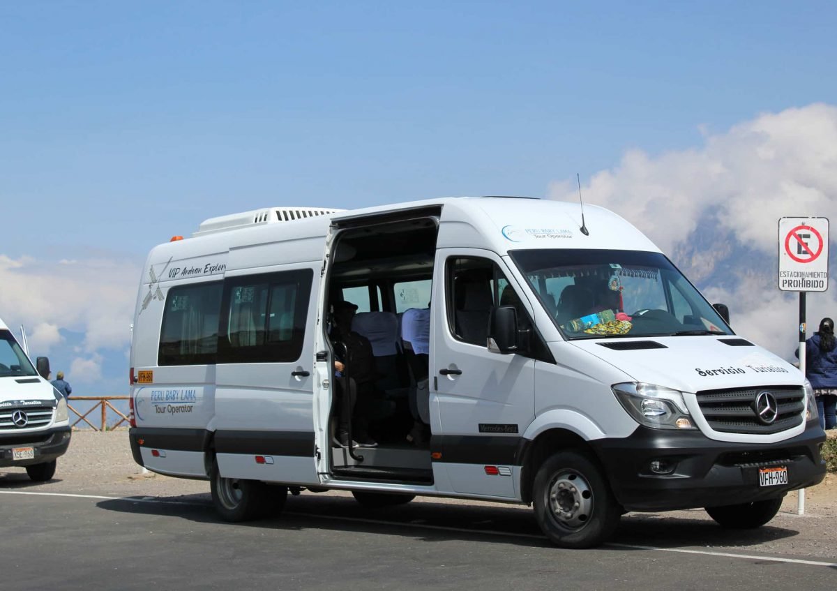 colca arequipa tour peru peru baby lama (45)