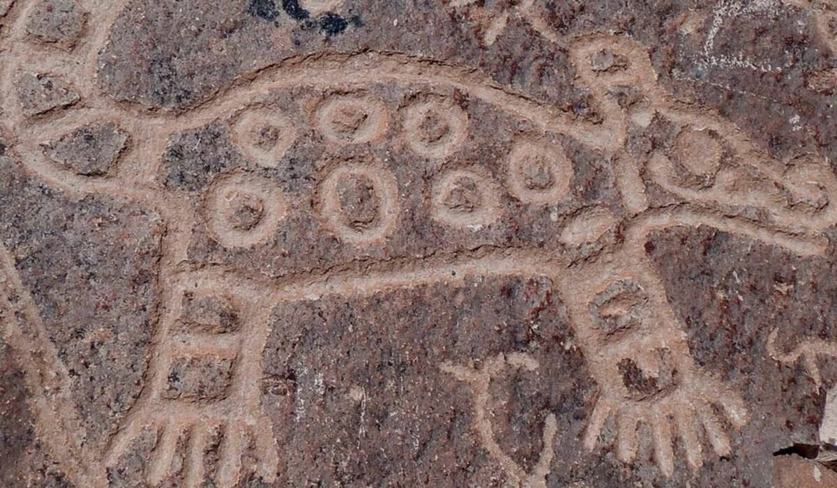 Full Day Trip To Majes Toro Muerto Petroglyphs