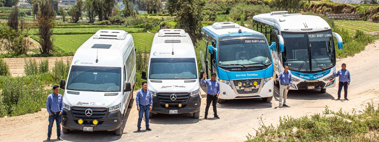 private-tramsport-peru--baby-lama-arequipa-colca